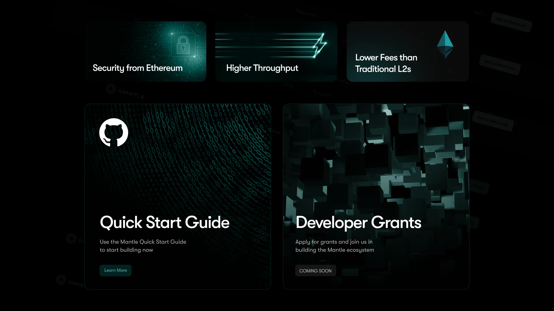 Mantle network developer section
